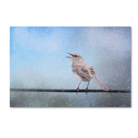 Jai Johnson 'Mockingbird In The Snow' Canvas Art,22x32